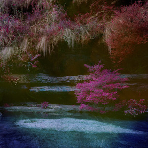 面费黄色毛片不用播放器播放
